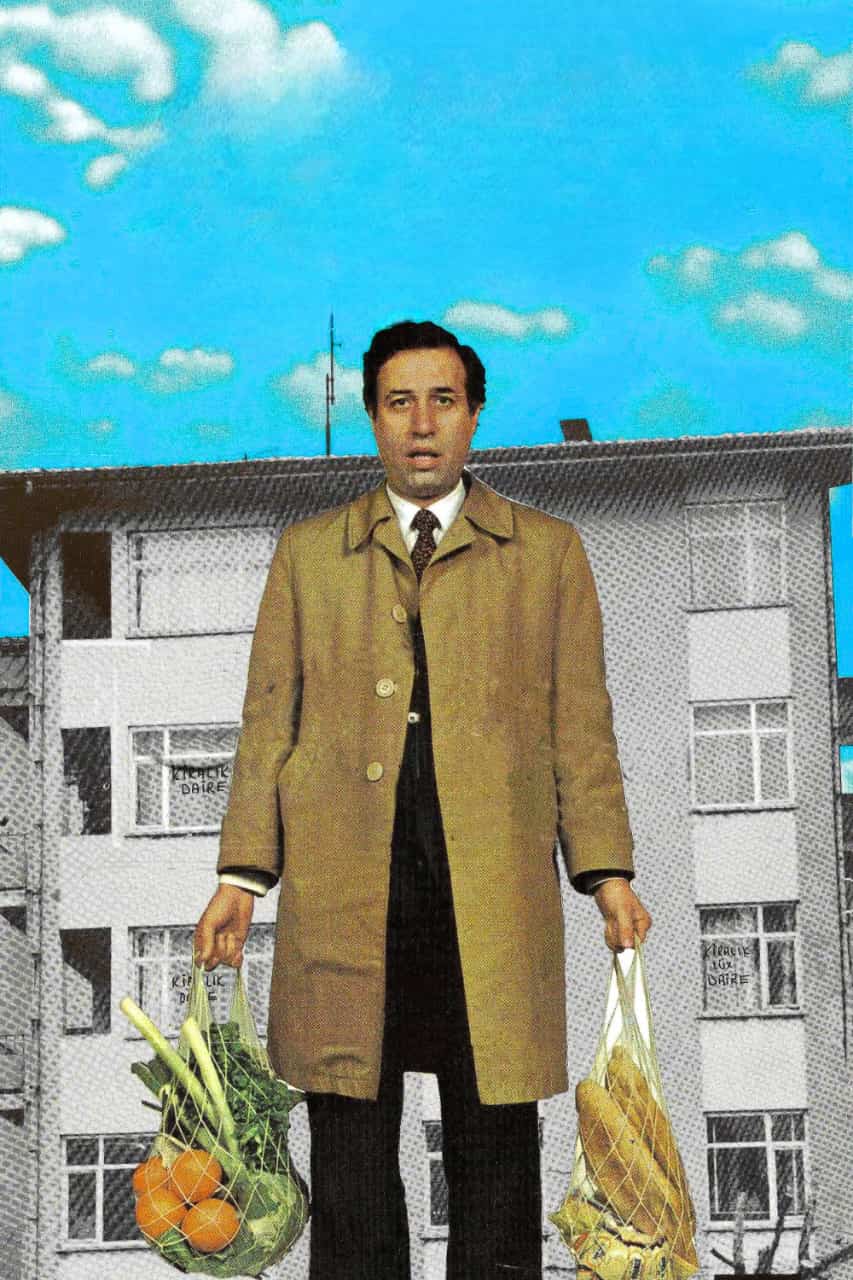 Kirayənişin (1987)