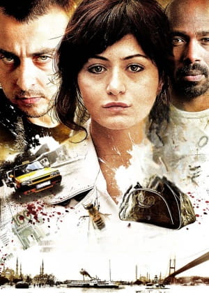 40 (2009)