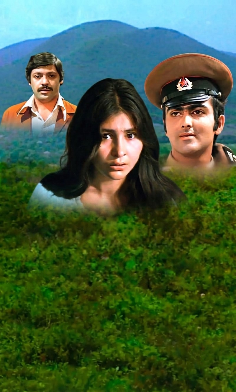 Evin kişisi (1978)