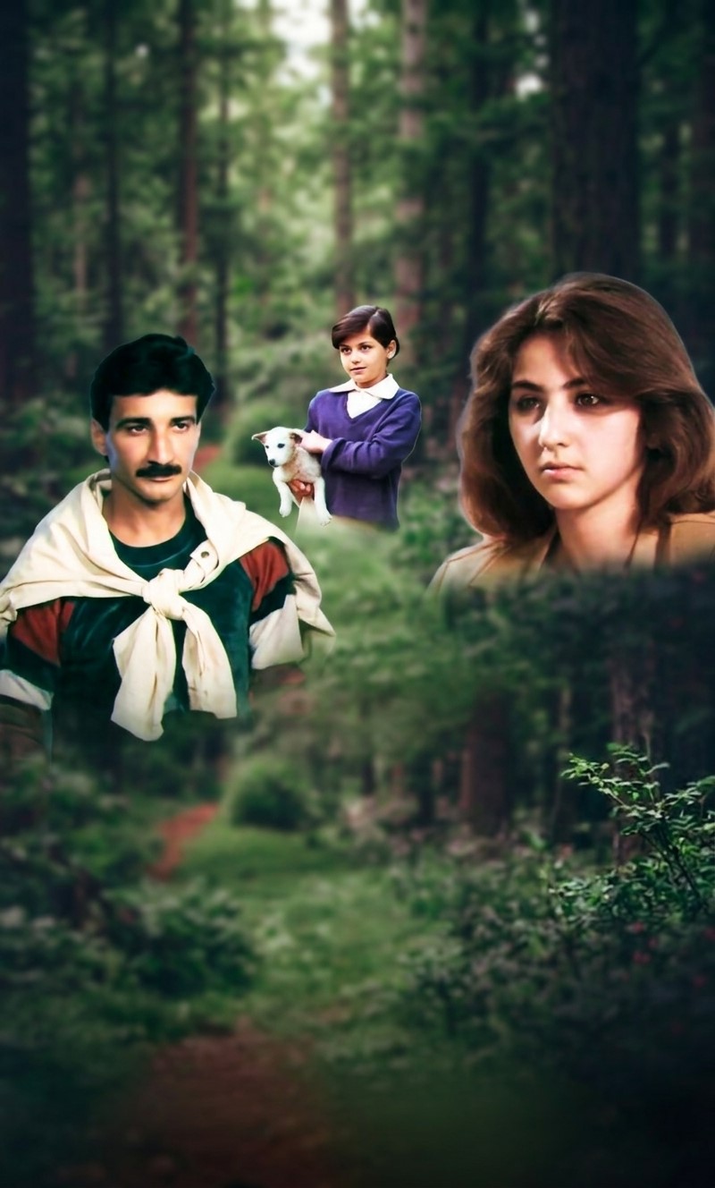 Araqarışdıran (1987)